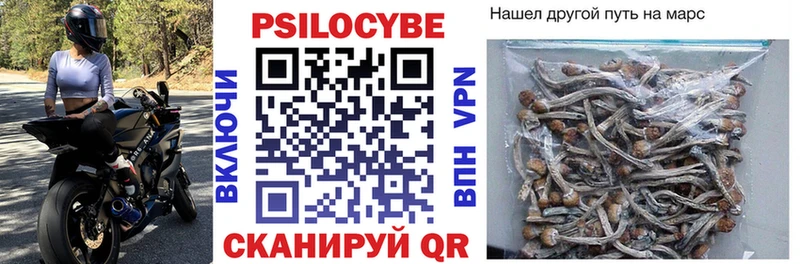 Галлюциногенные грибы Cubensis  Зеленоградск 